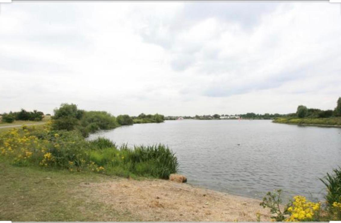 Cosy Cottage Annex In Fairlop إيلفورد المظهر الخارجي الصورة